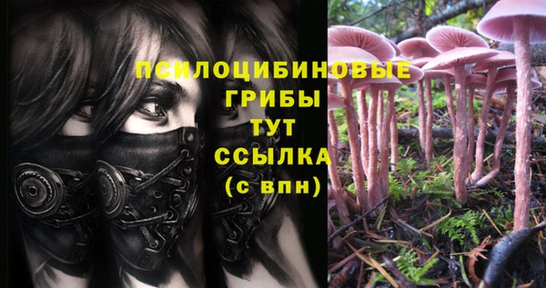 прущий лед Волосово