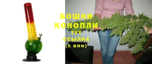дживик Сосновый Бор